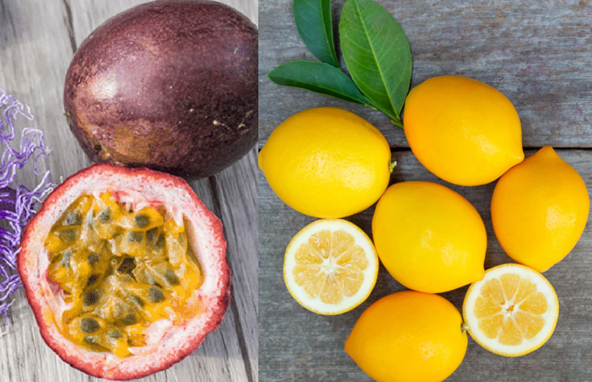 Passion Fruit & Meyer Lemon Pack