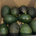Gem Avocados (5 lbs.)