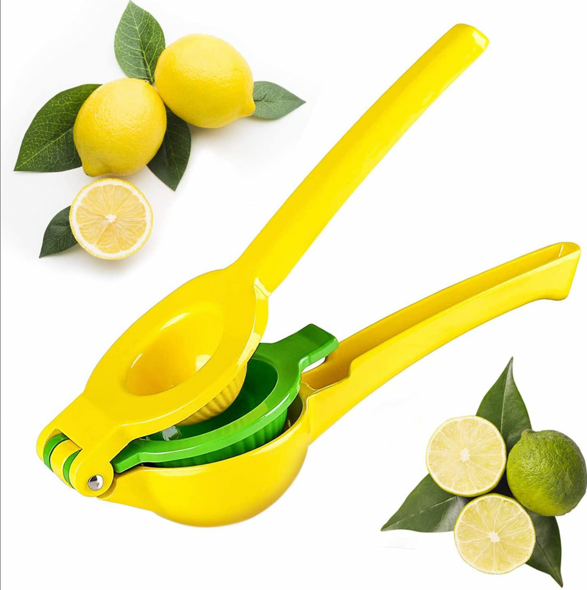 Citrus Juicer