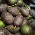 Hass Avocados (3 lbs.)