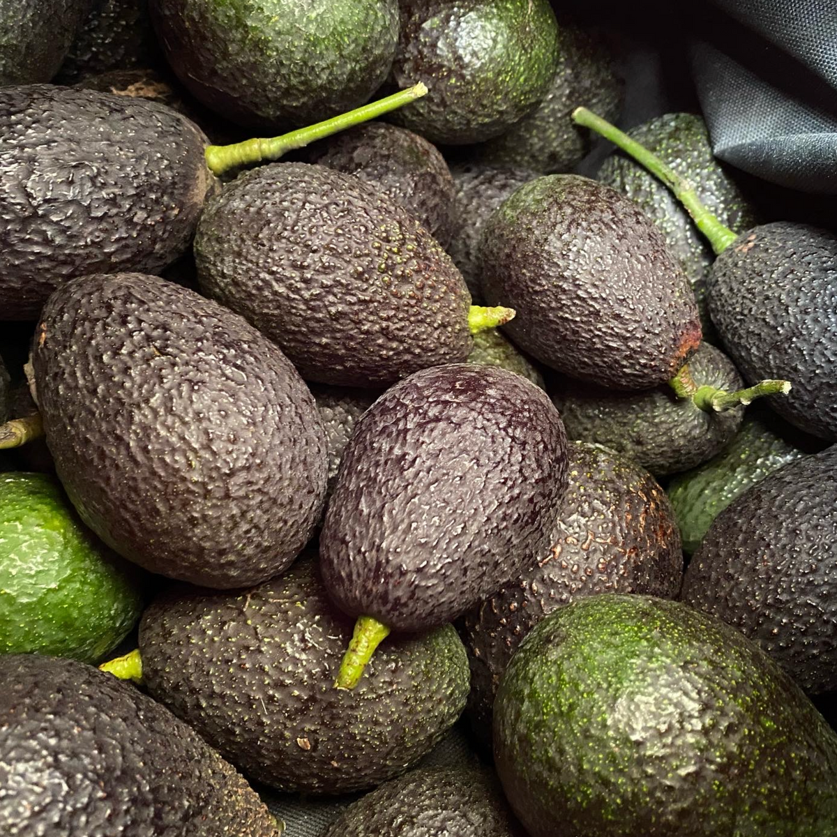 Hass Avocados (3 lbs.)