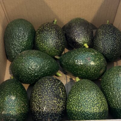 Gem Avocados (5 lbs.)